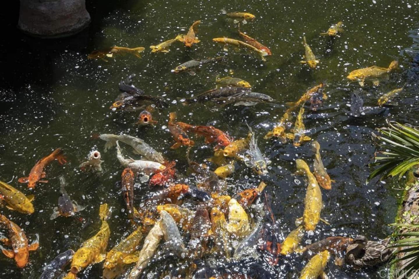 Brooks Beach Vacations House B222 Oceanside - Property Image 19