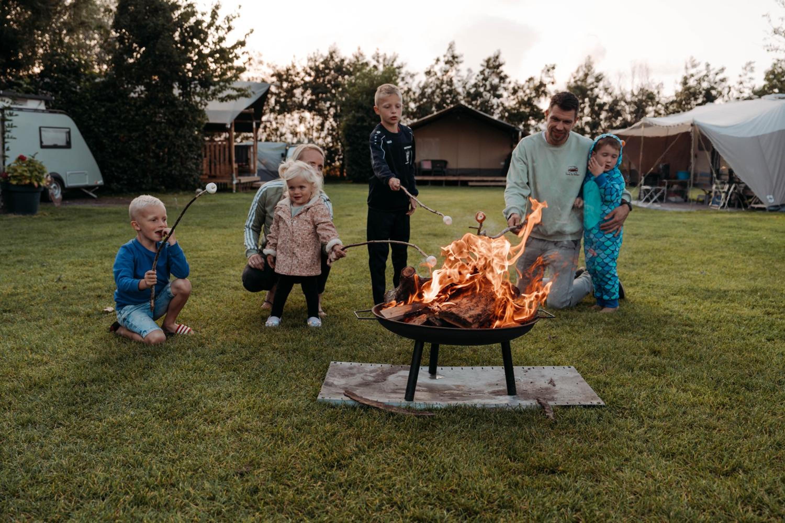 Camping De Tulpenweide lege Kampeerplaats, lege plaats op het gras zonder bed