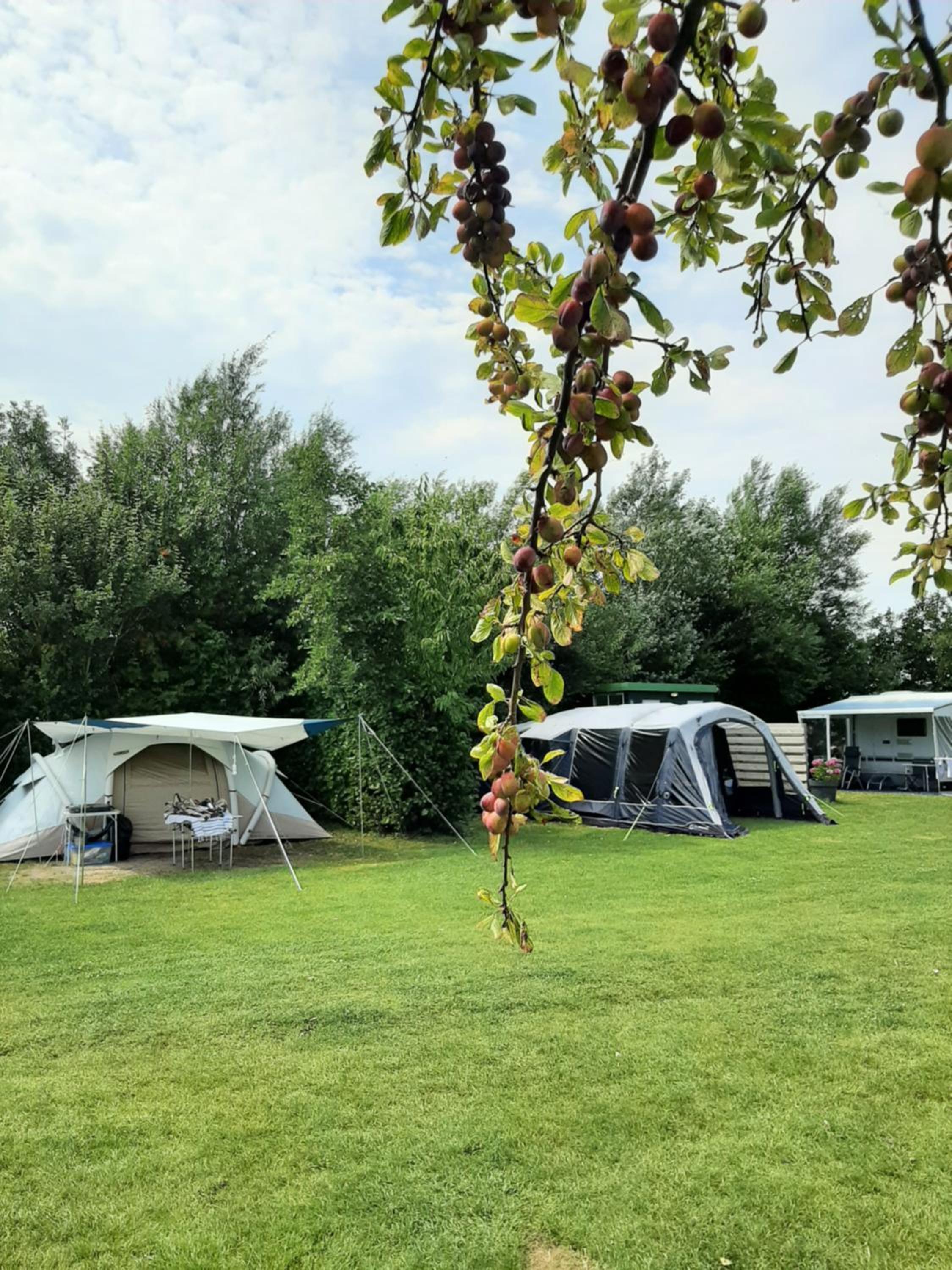 Camping De Tulpenweide lege Kampeerplaats, lege plaats op het gras zonder bed
