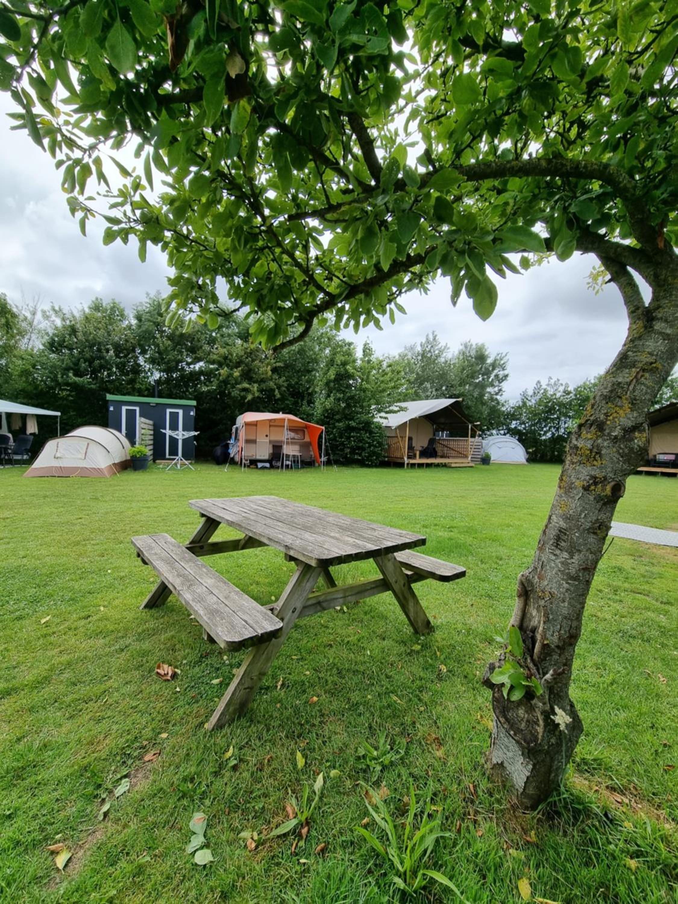 Camping De Tulpenweide lege Kampeerplaats, lege plaats op het gras zonder bed