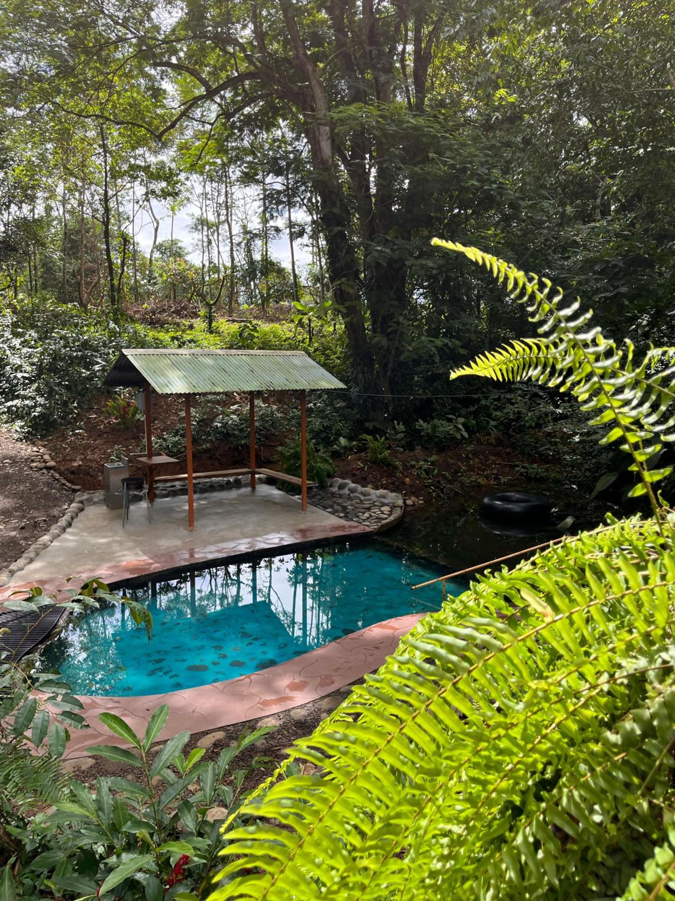 Gambas Lodge