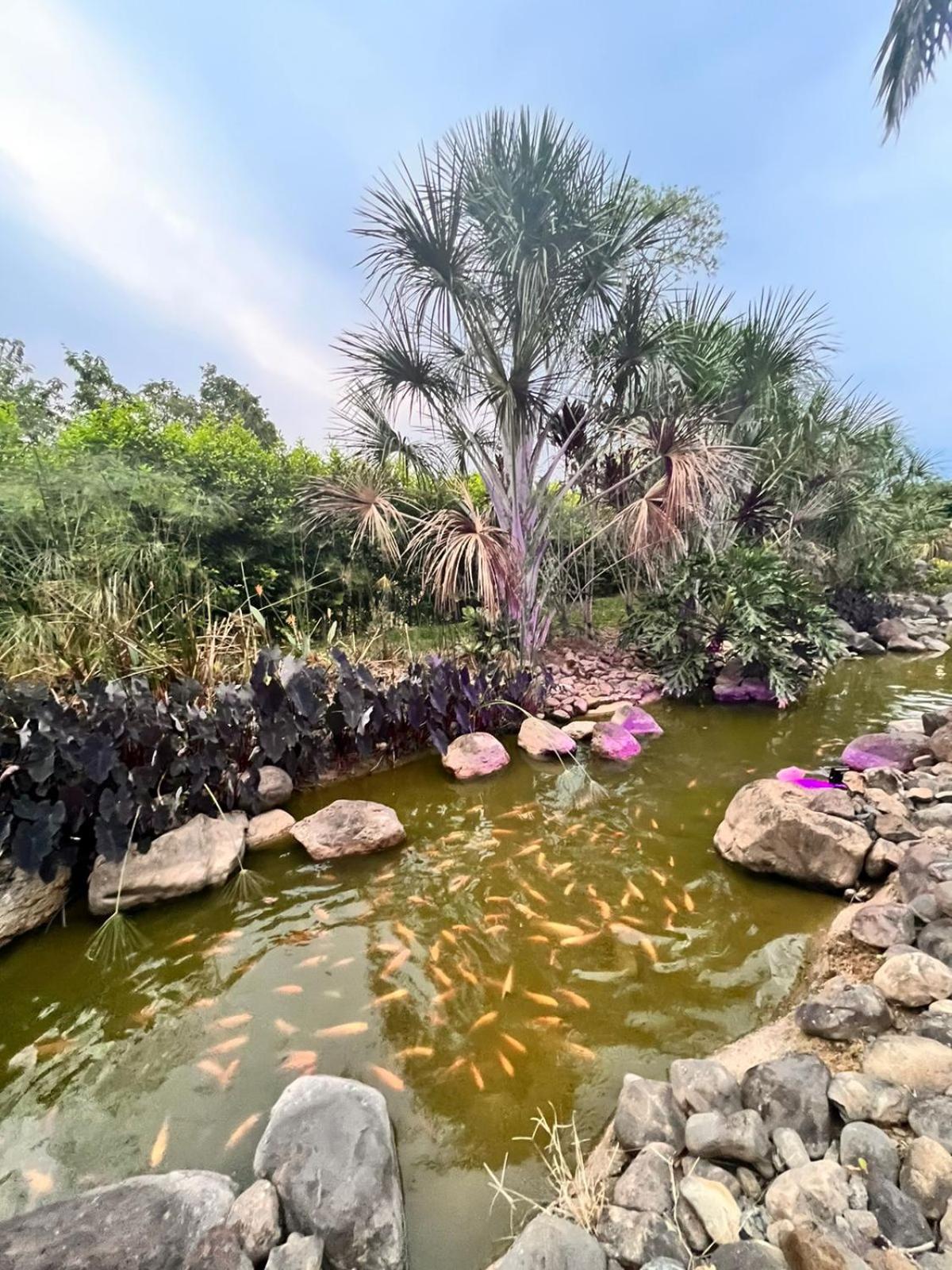 RANCHO SOFIA