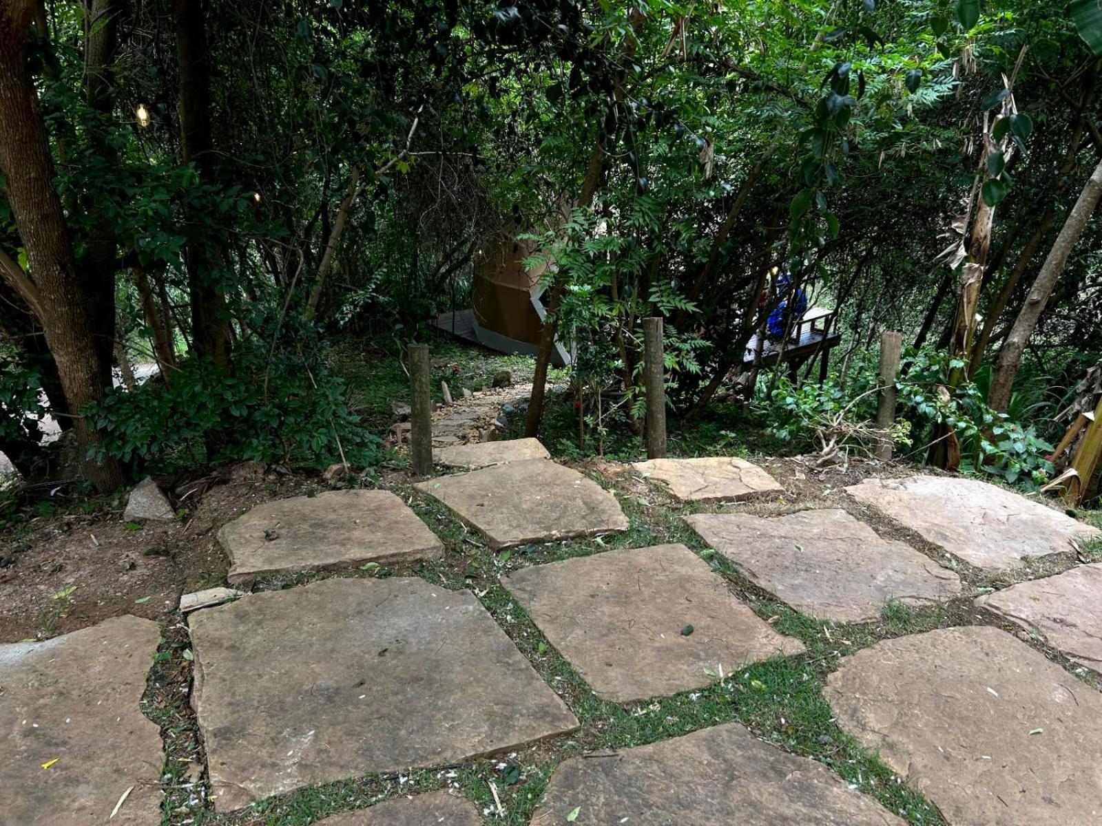 Domo Vila da Serra