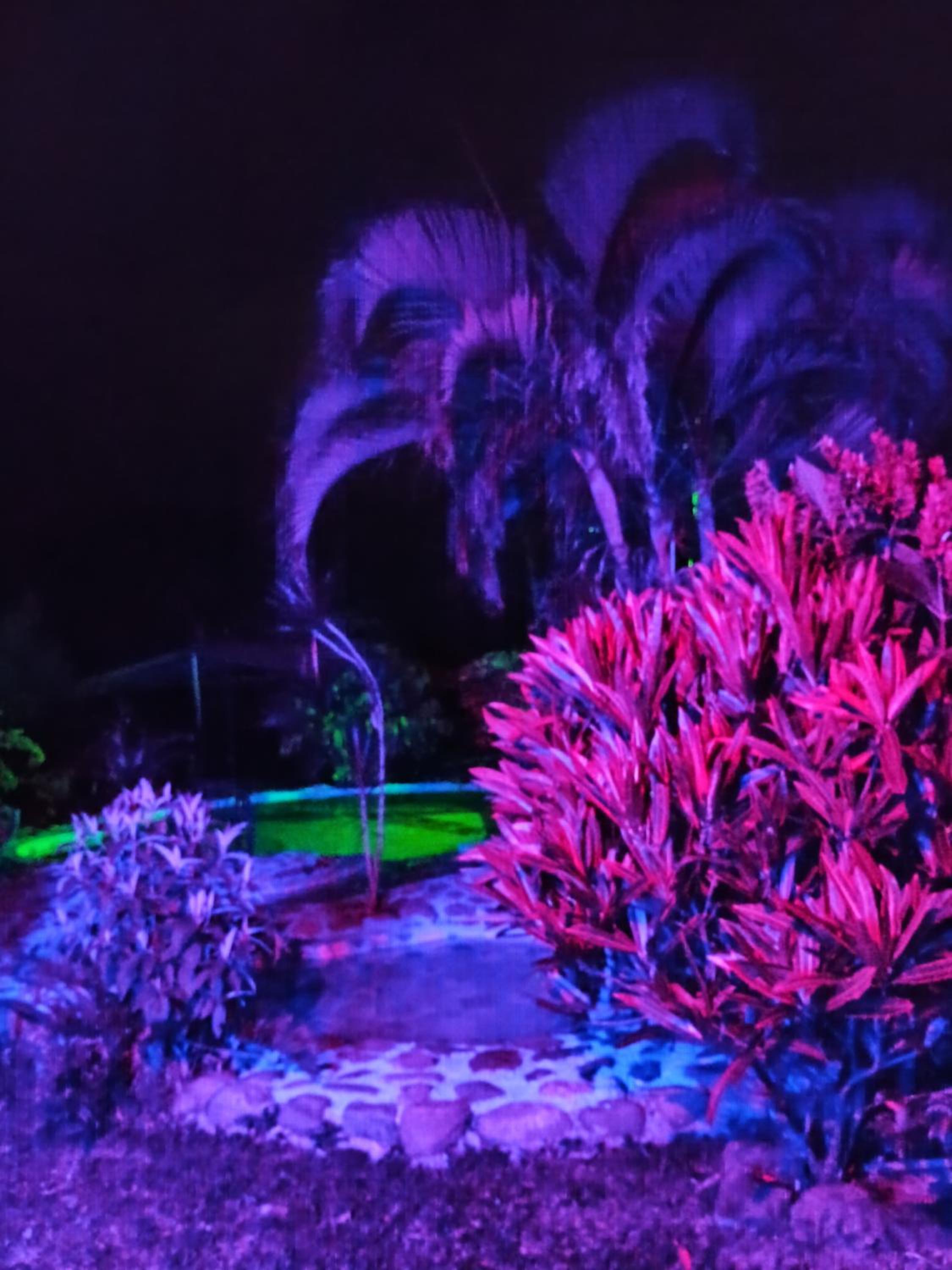 PosadaManduka Eco-Hostel - Property Image 30