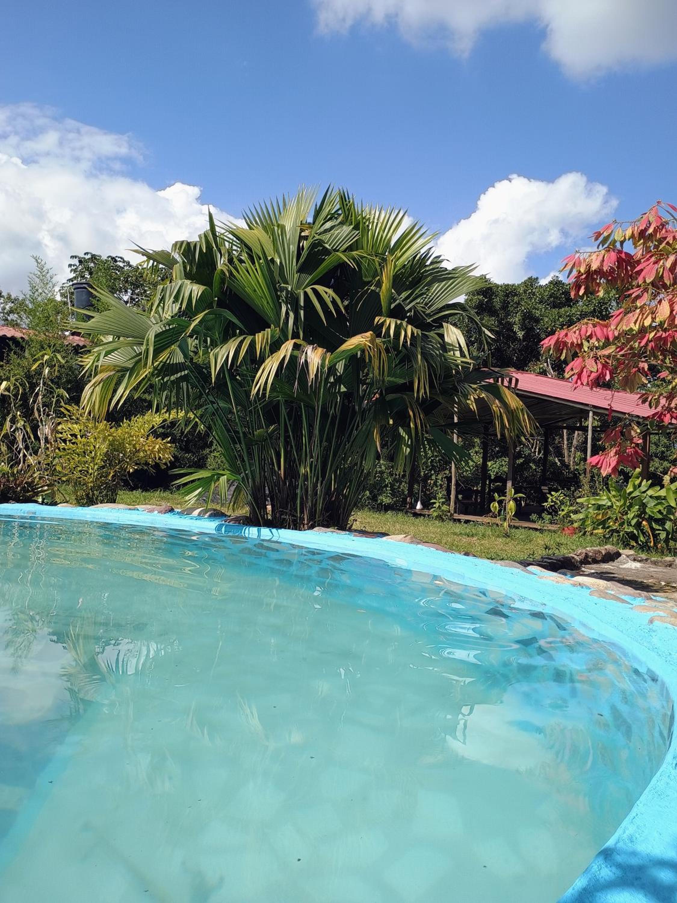 PosadaManduka Eco-Hostel - Property Image 27