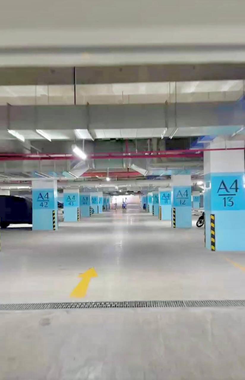 Căn hộ 2pn2wc full nội thất siêu đẹp khu Diamond Alnata Celadon City Tân Phú