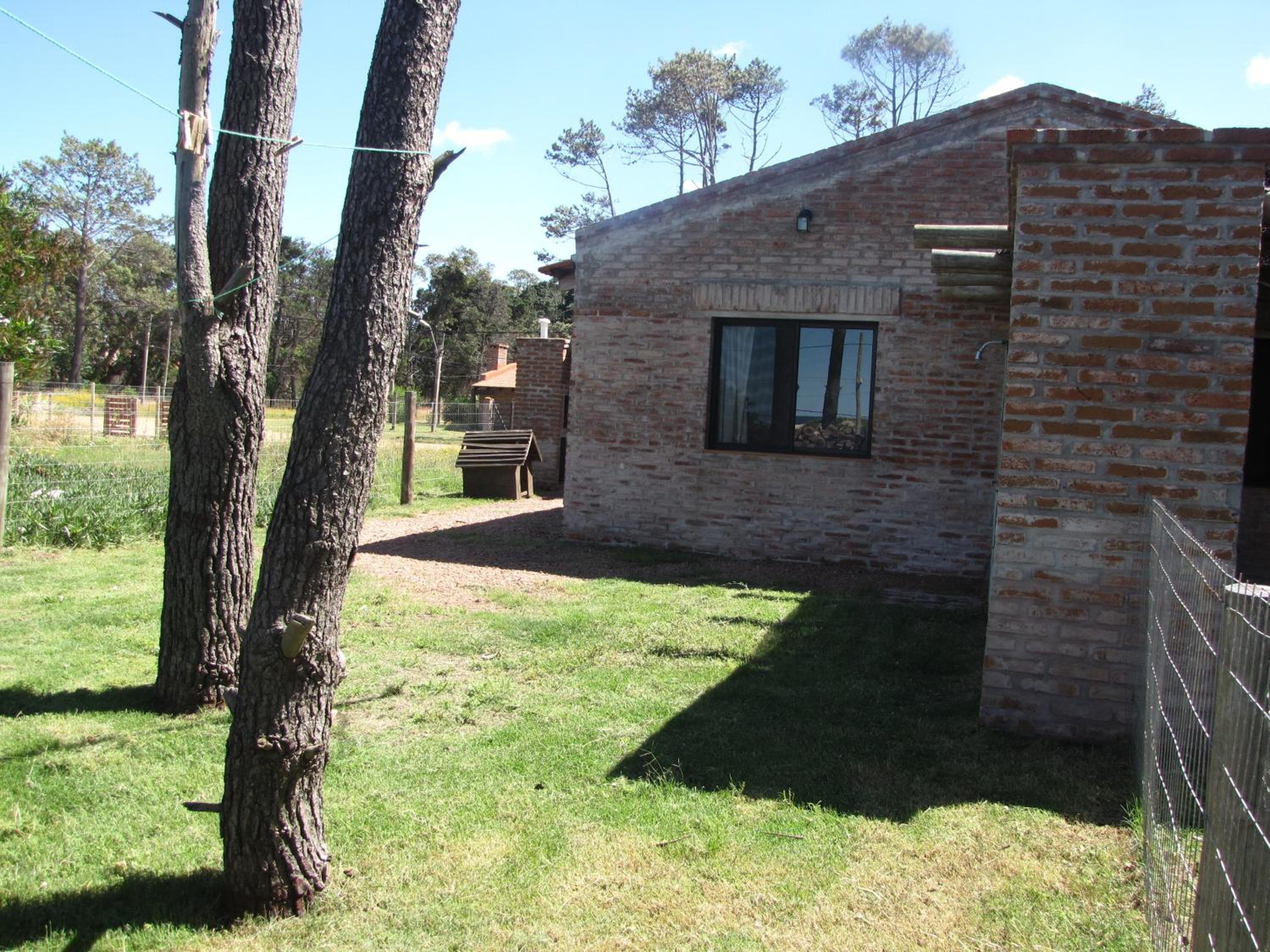 Photo 35