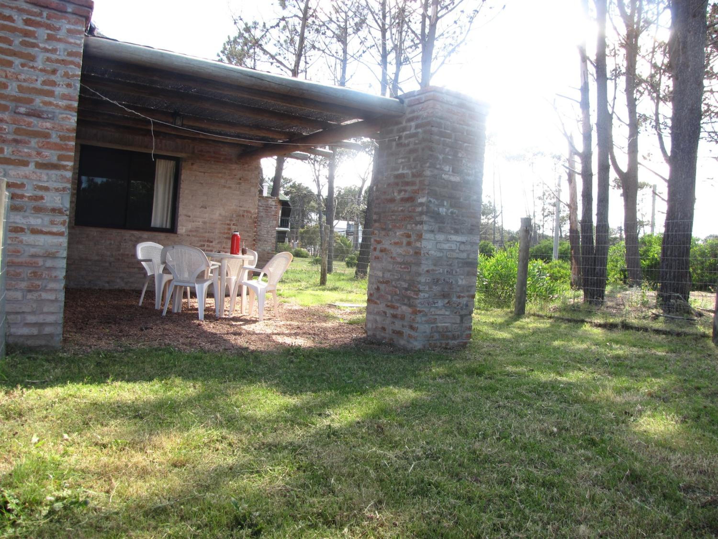 Photo 41