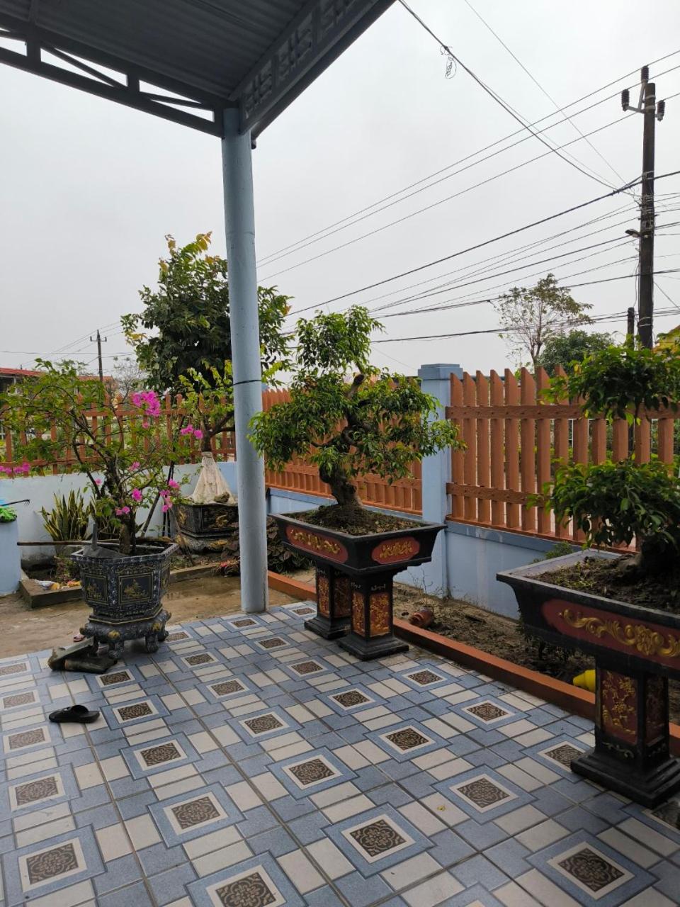 Photo 44
