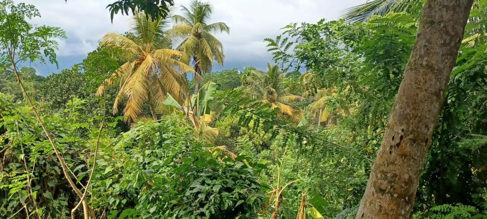 Kumara Villa.