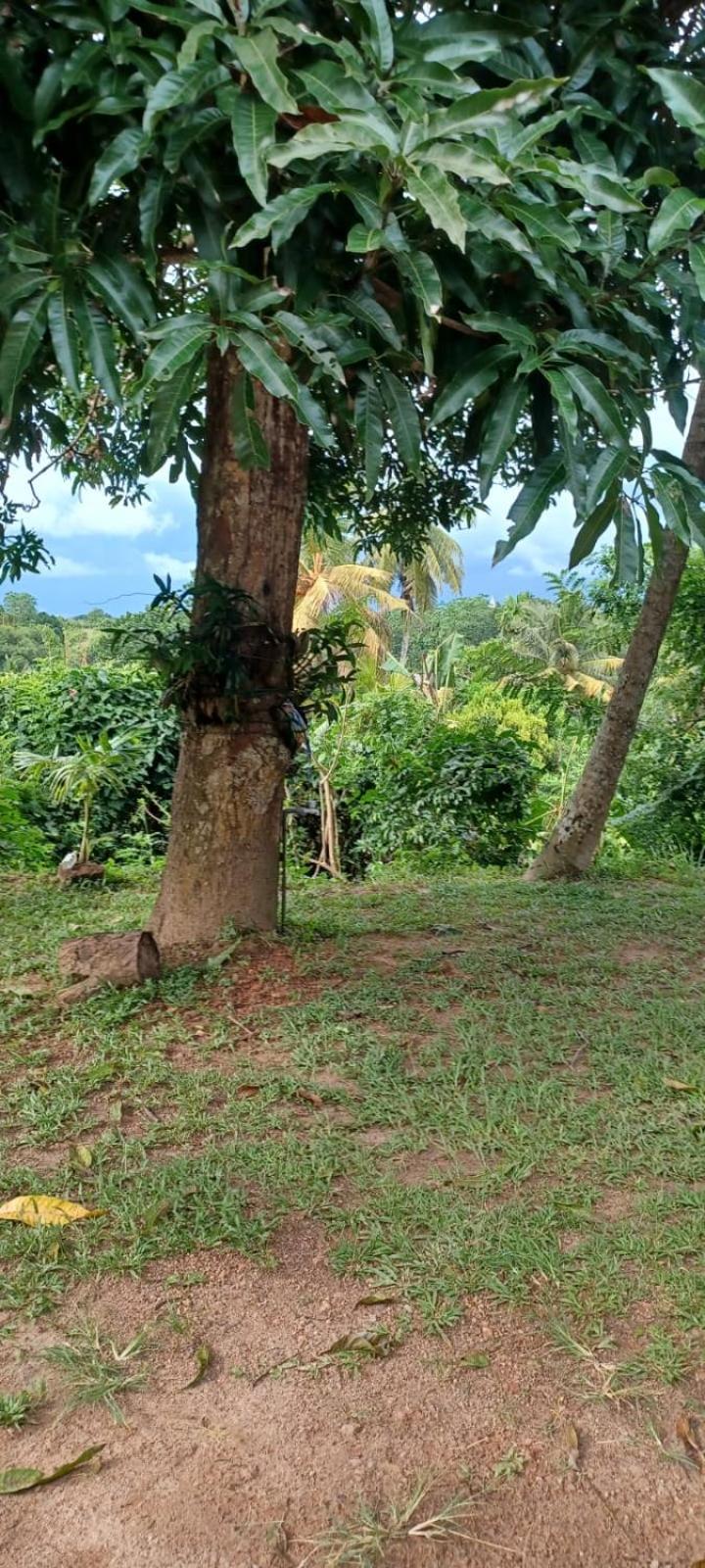 Kumara Villa.