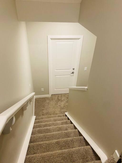 Newly built 2 Bedroom Basement apartment