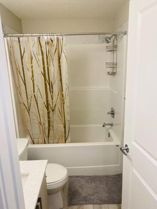Newly built 2 Bedroom Basement apartment