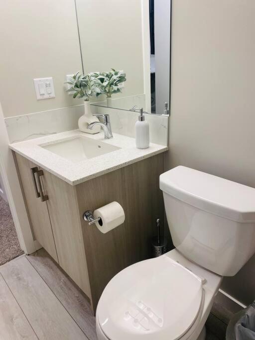 Newly built 2 Bedroom Basement apartment