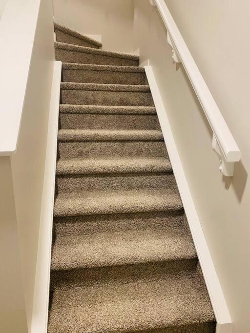 Newly built 2 Bedroom Basement apartment
