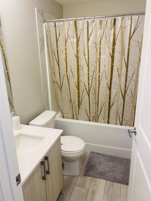 Newly built 2 Bedroom Basement apartment
