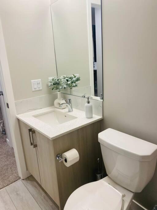 Newly built 2 Bedroom Basement apartment