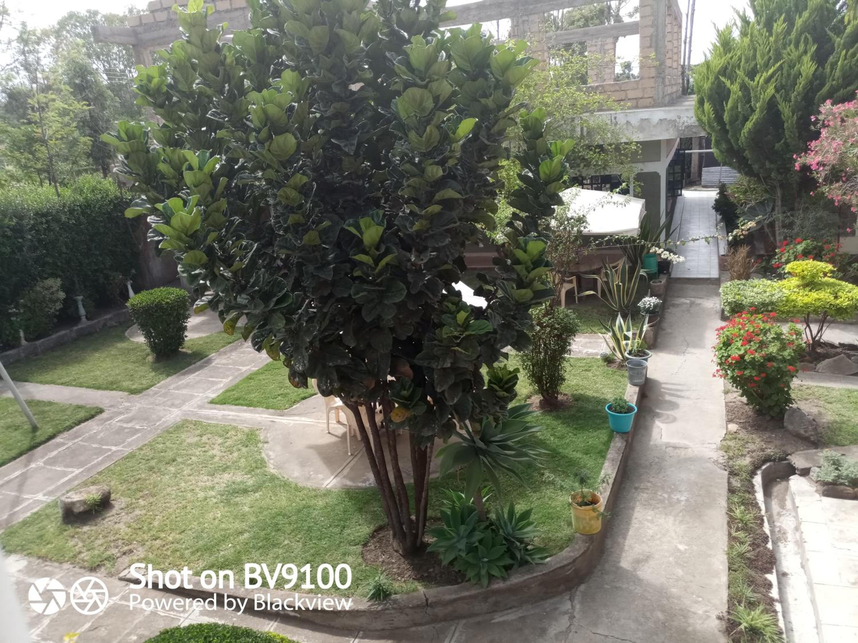 TAPHE GUEST RESORT view 5