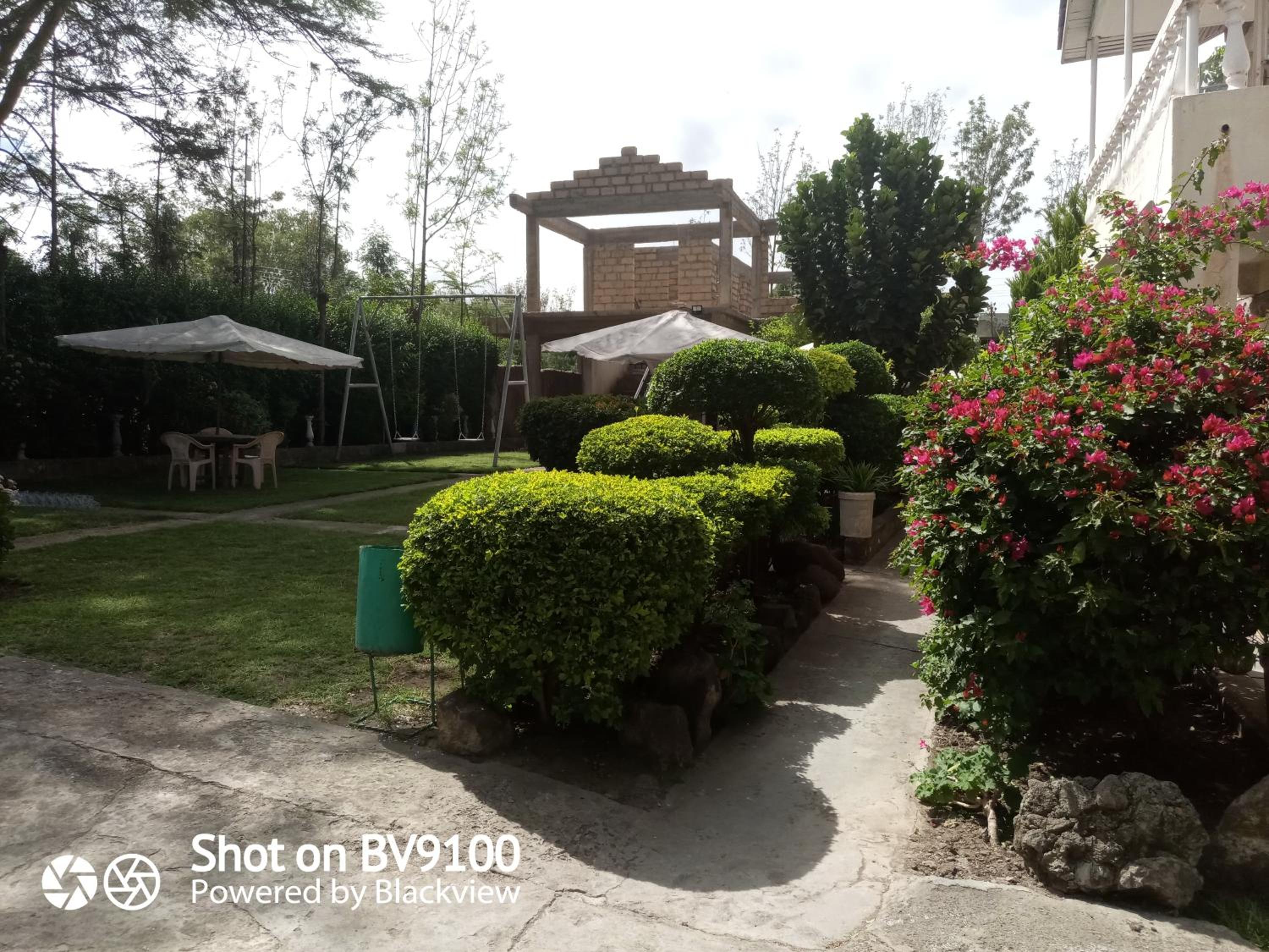 Photo 23