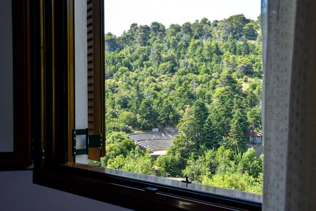 Forest View House Seta view 5