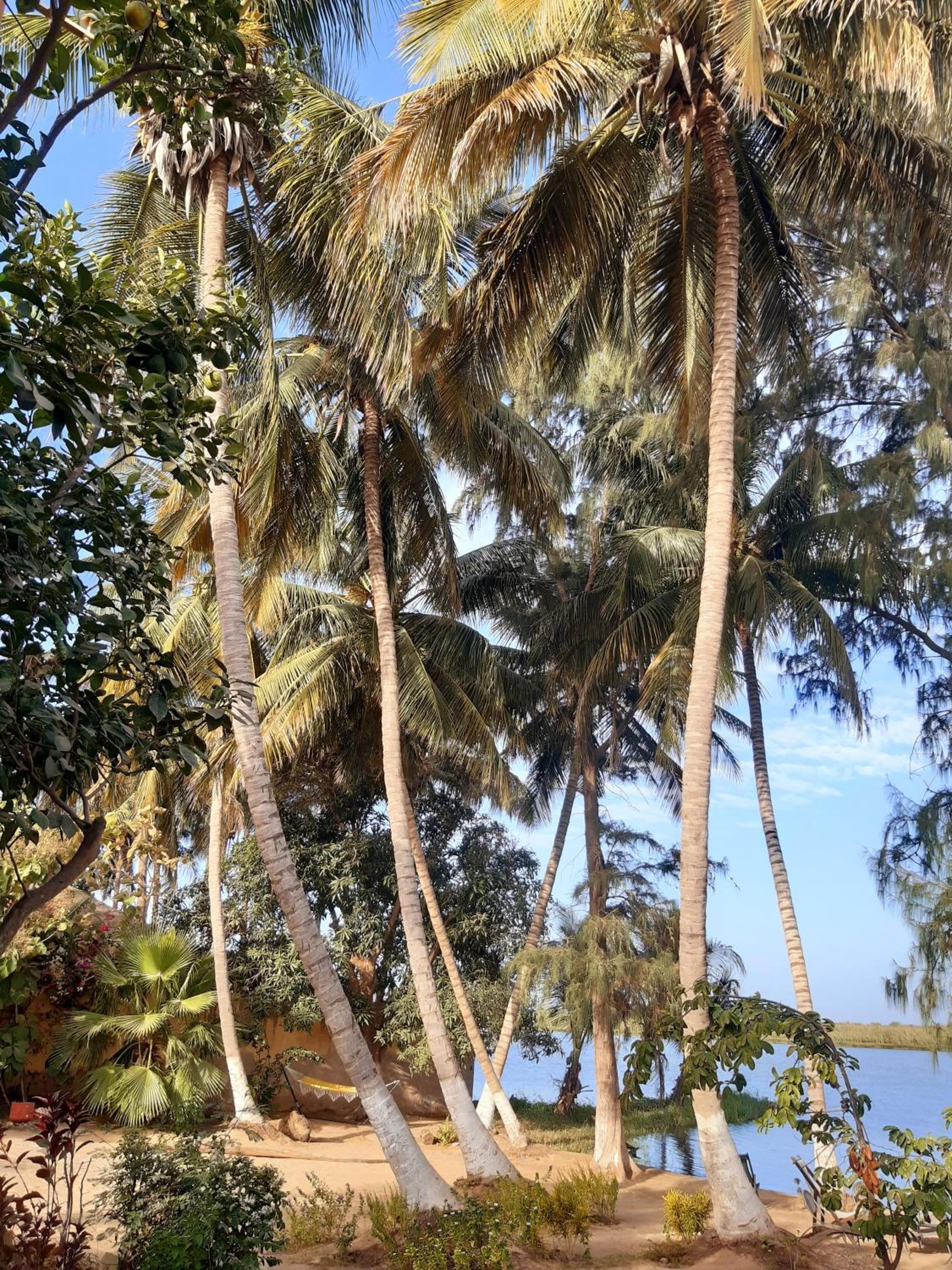 Mon paradis view 2