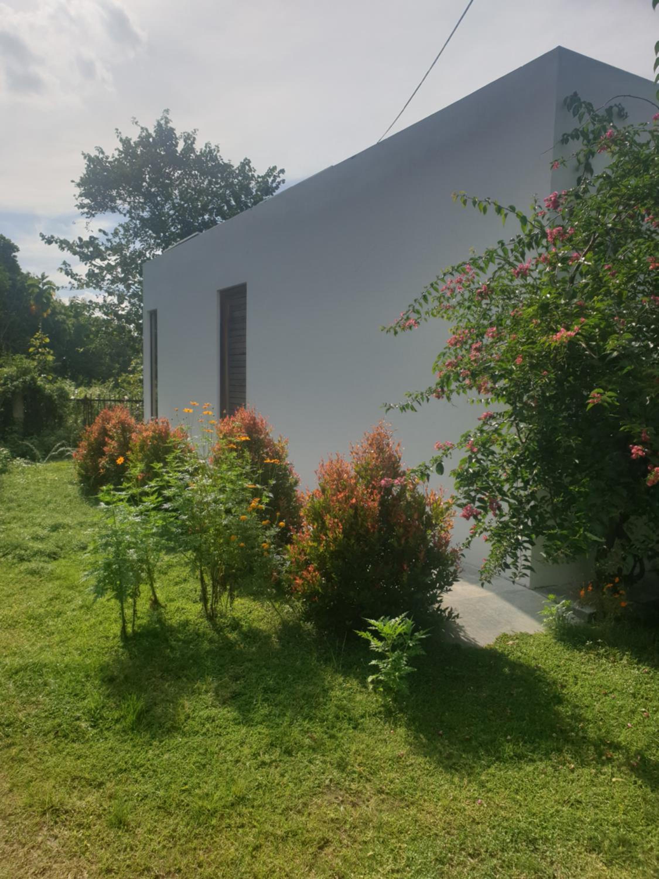 Photo 36