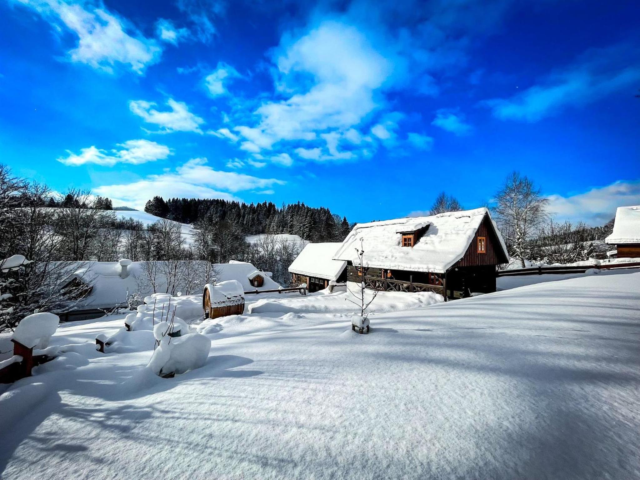 Hotel Traditional deer Cabin with Sauna - Image 1