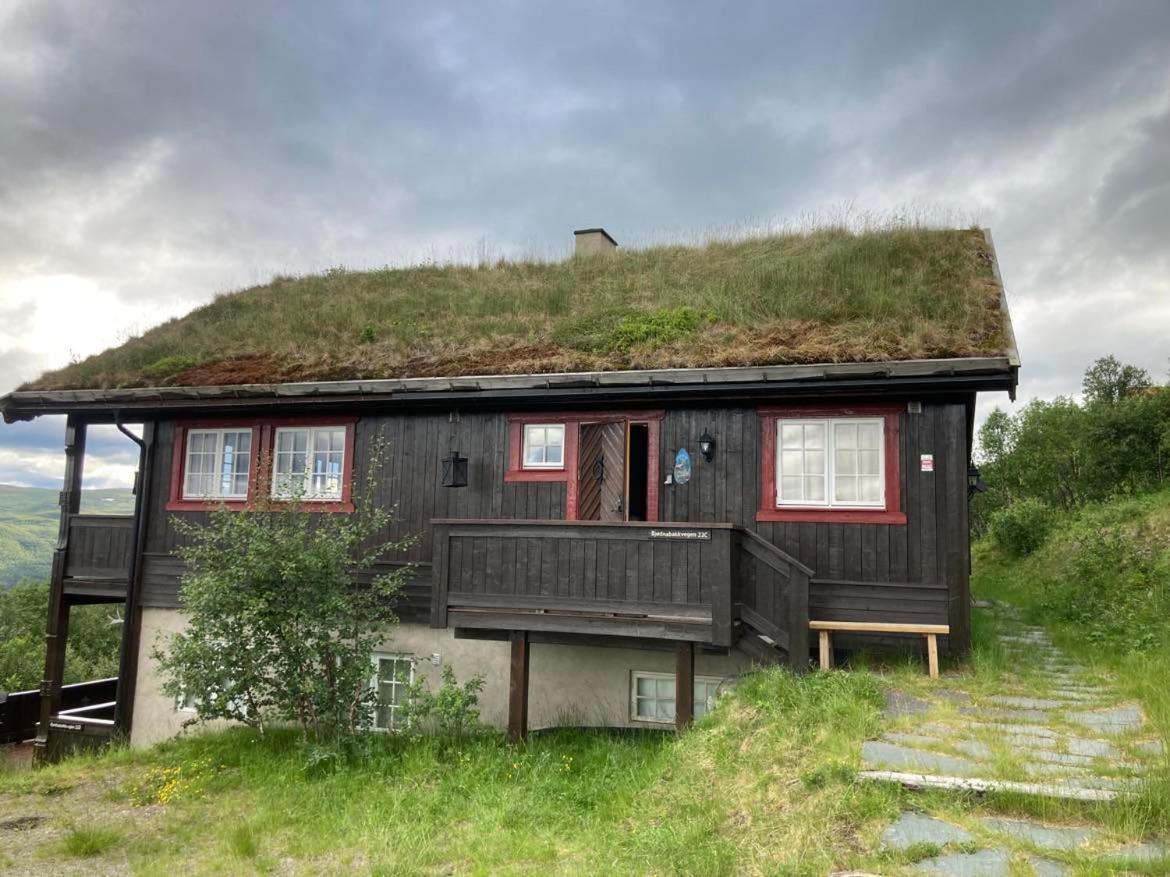 Bjødnabakkvegen 22C
