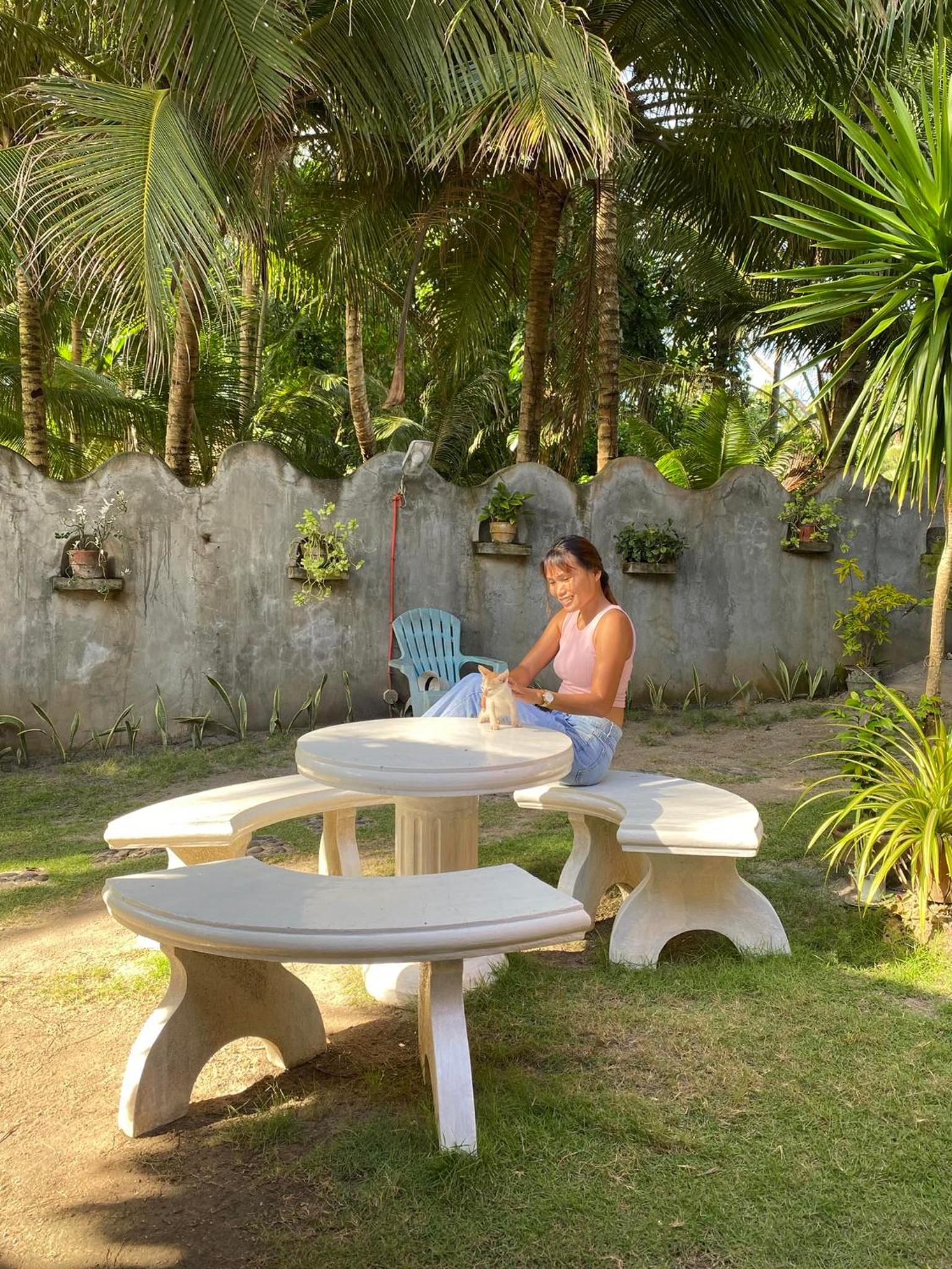 MLB Bungalow Hostel view 3