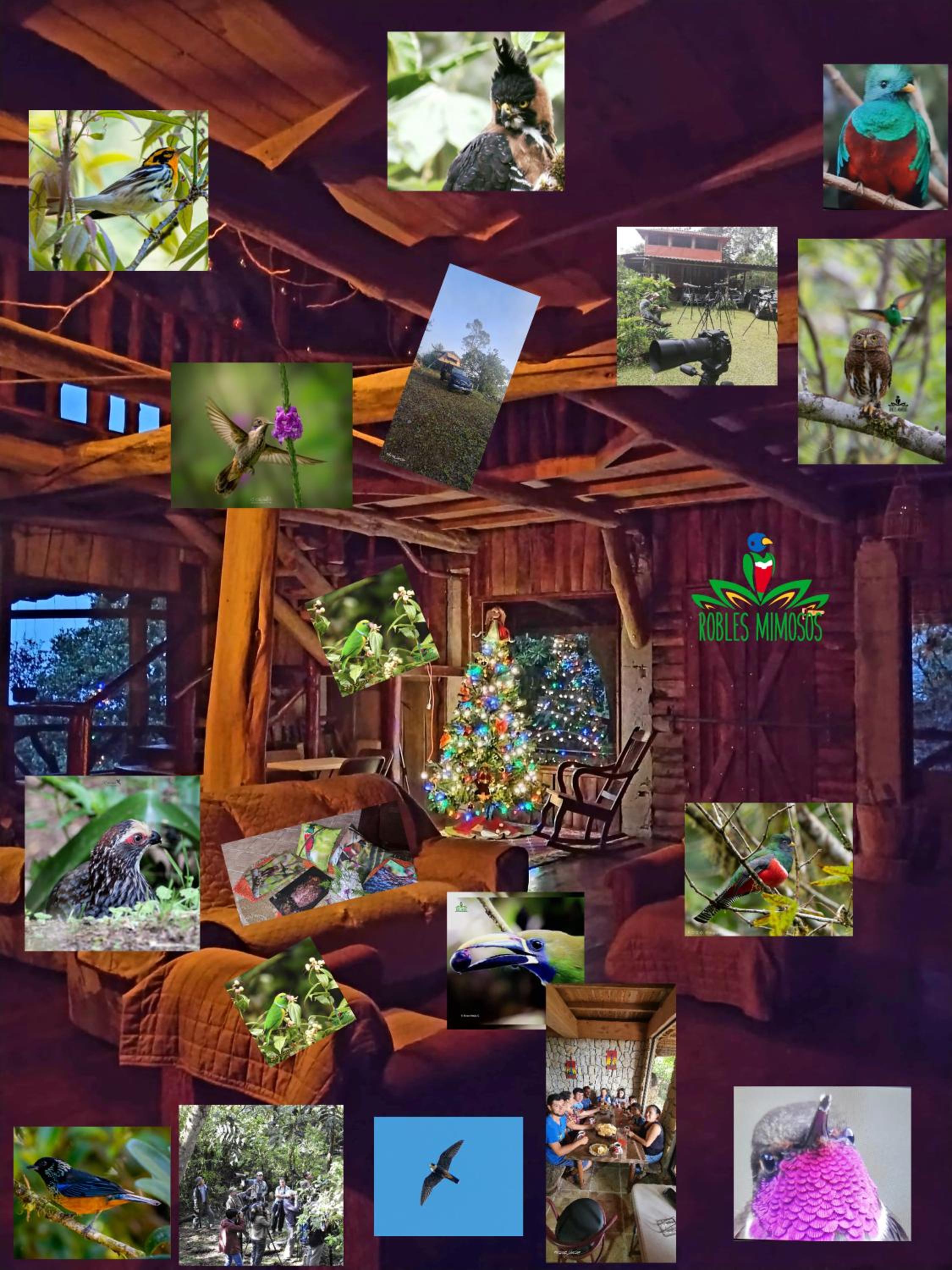 Reserva y Estancia Robles Mimosos Lodge