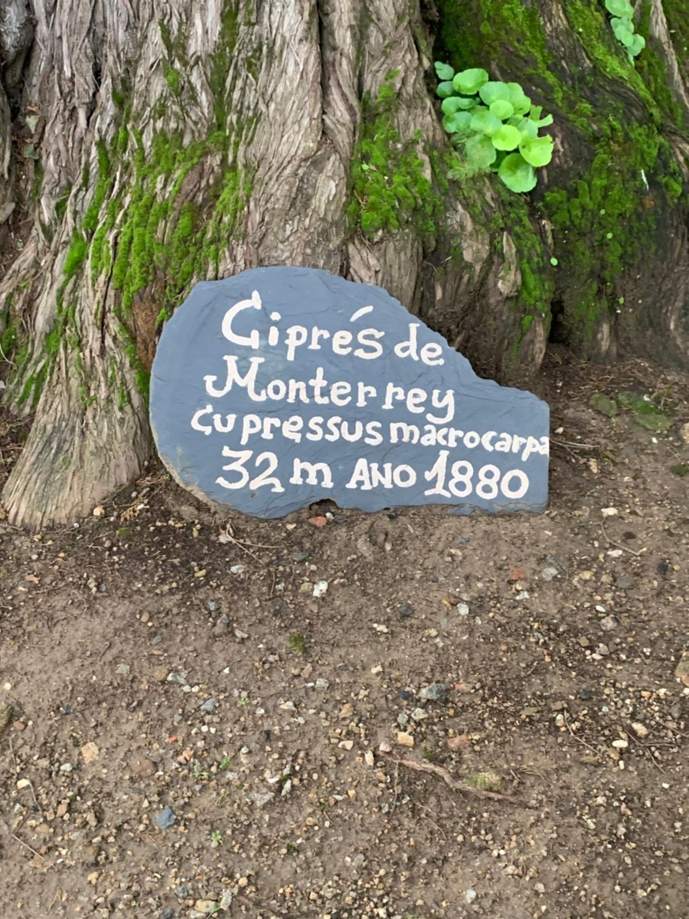 MANSIÓN DEL INDIANO