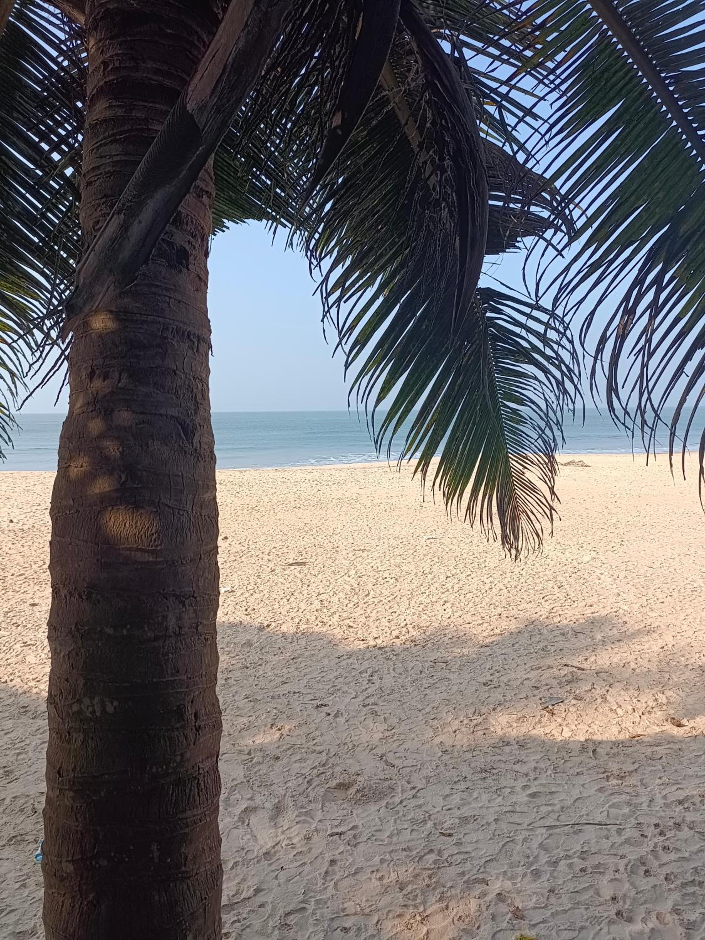 Raaga on the Beach view 2