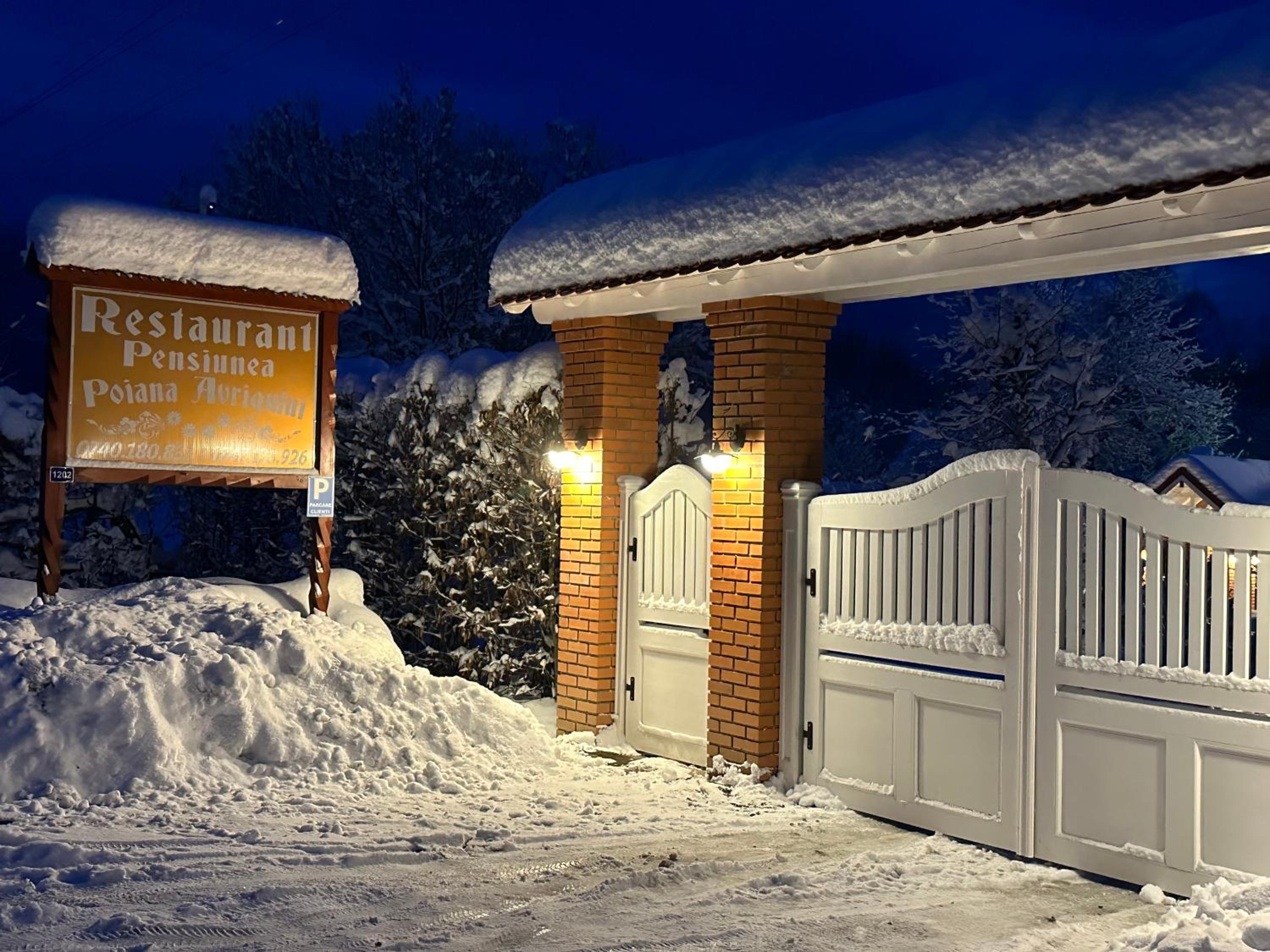 PENSIUNE RESTAURANT POIANA AVRIGULUI loc de joaca pentru copii view 2