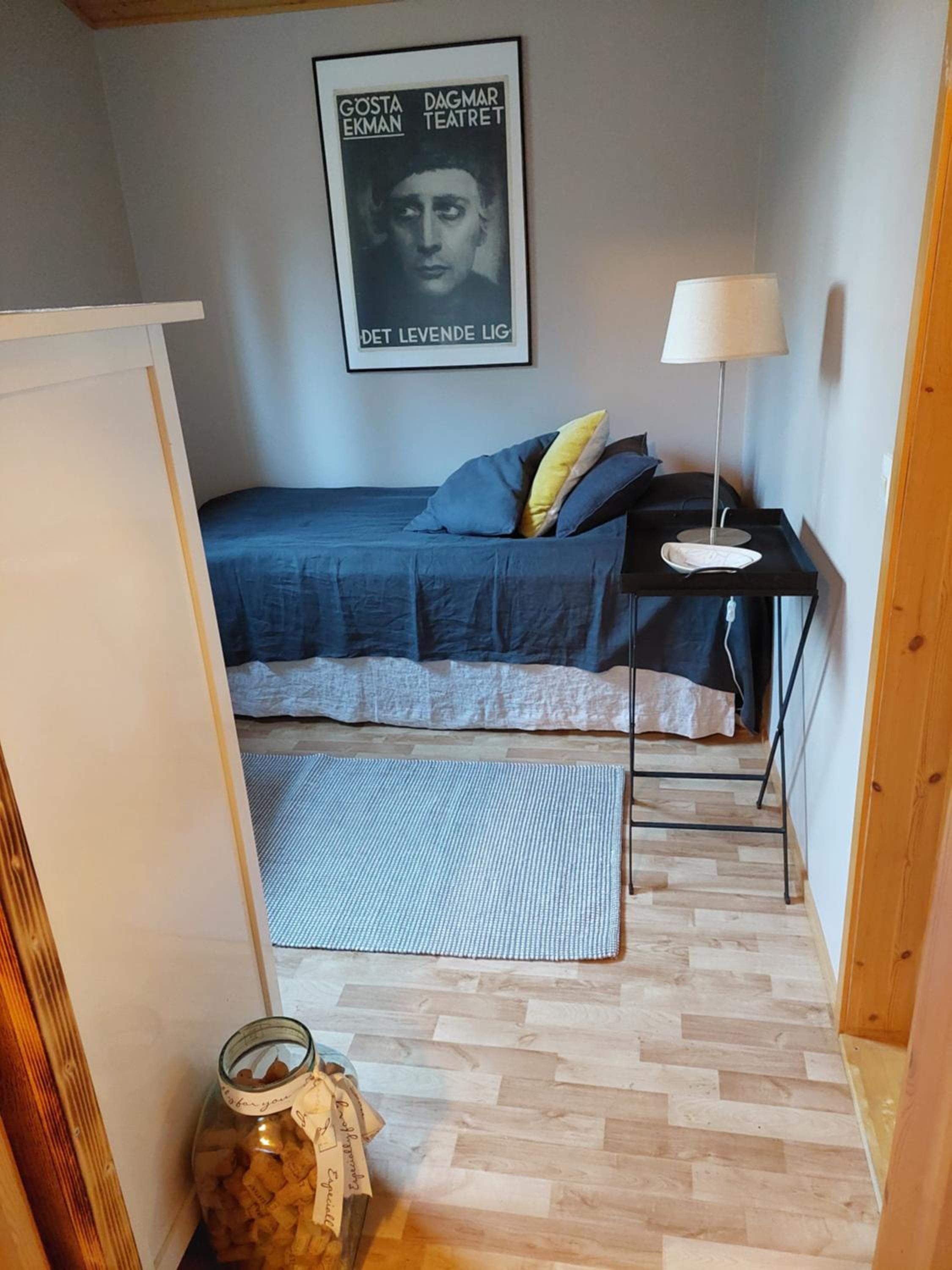 Kotoisa mökki Kangasniemellä