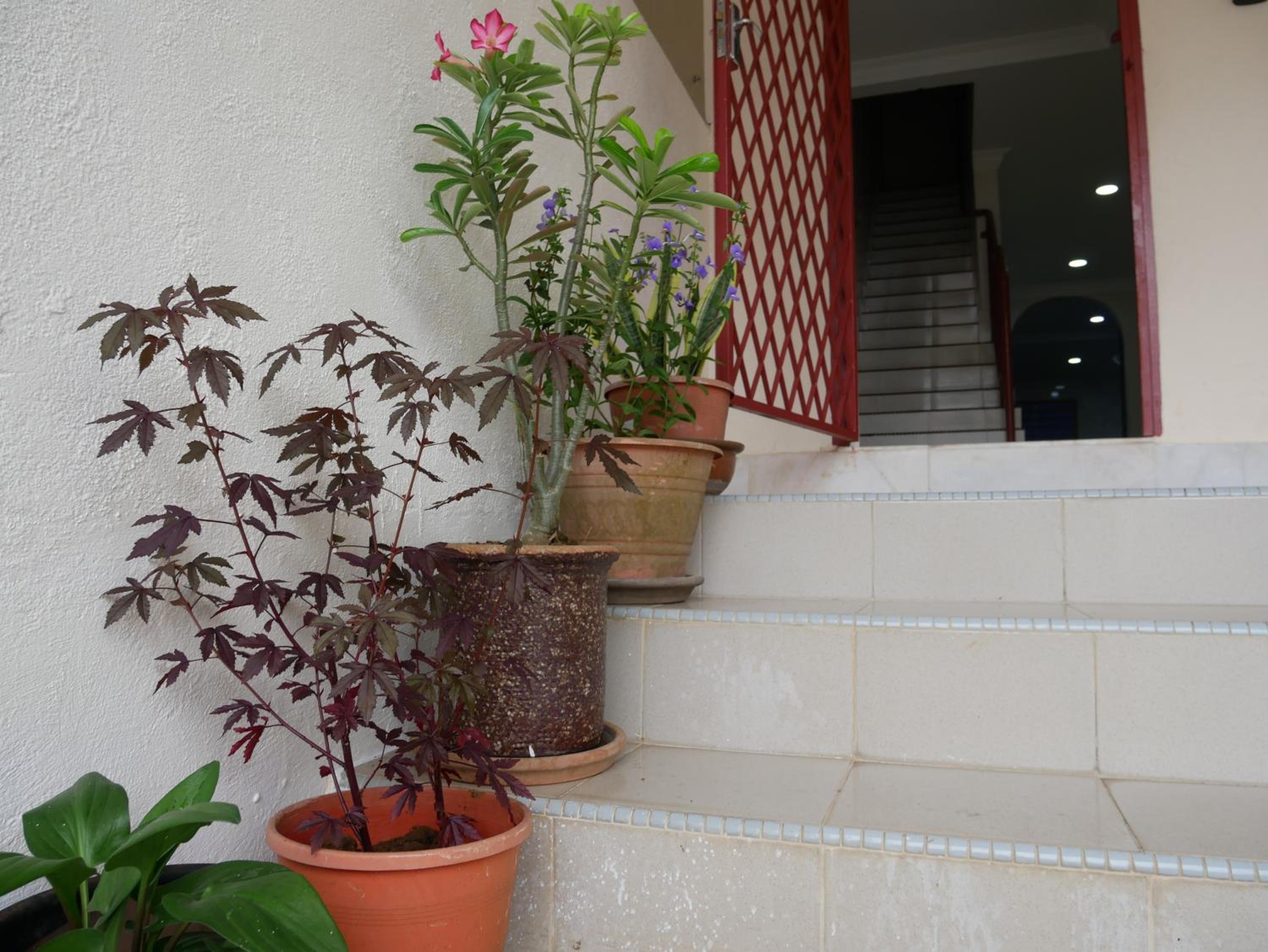 Relax House near Teluk Cempedak Kuantan