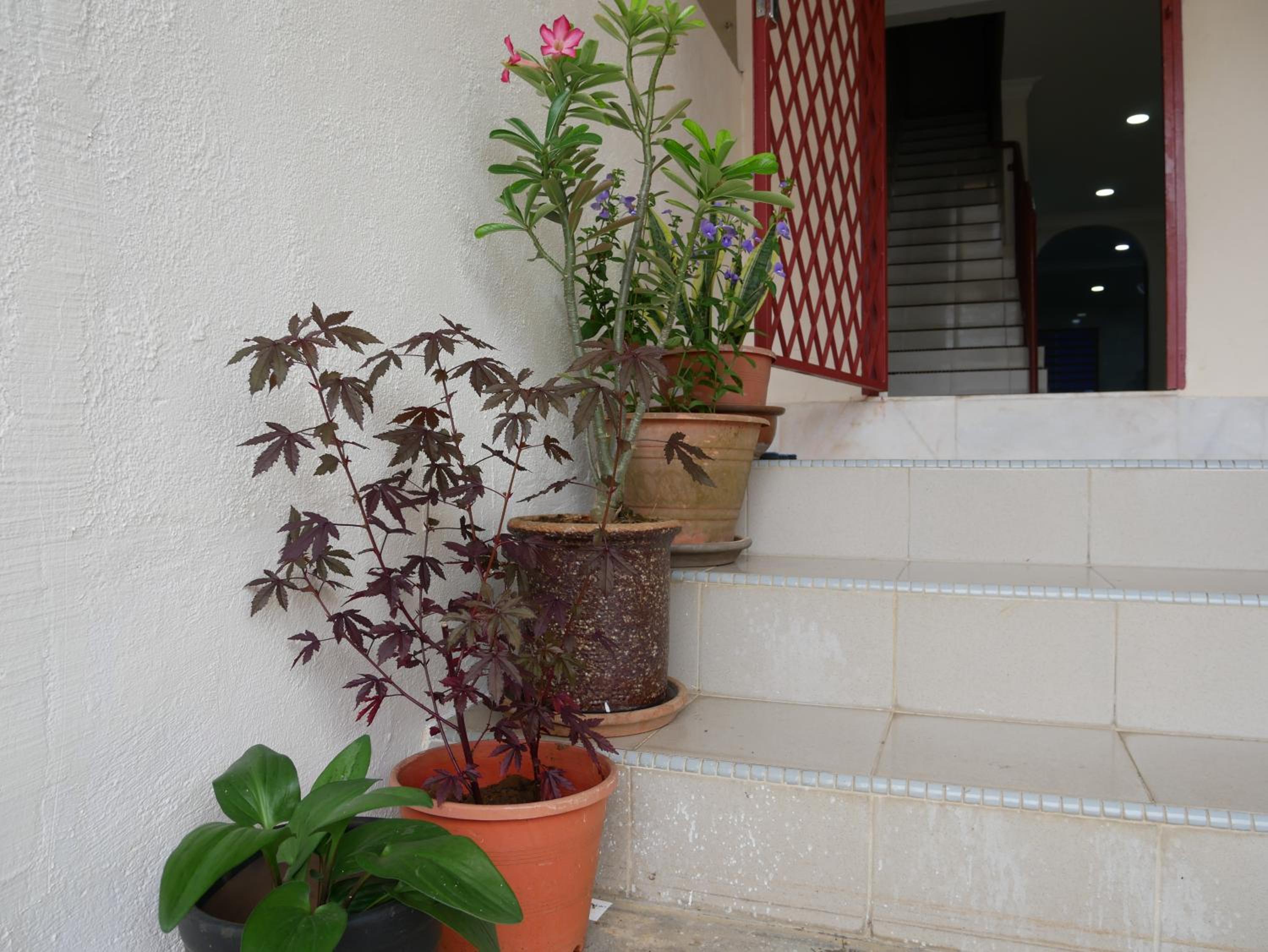 Relax House near Teluk Cempedak Kuantan photo 8