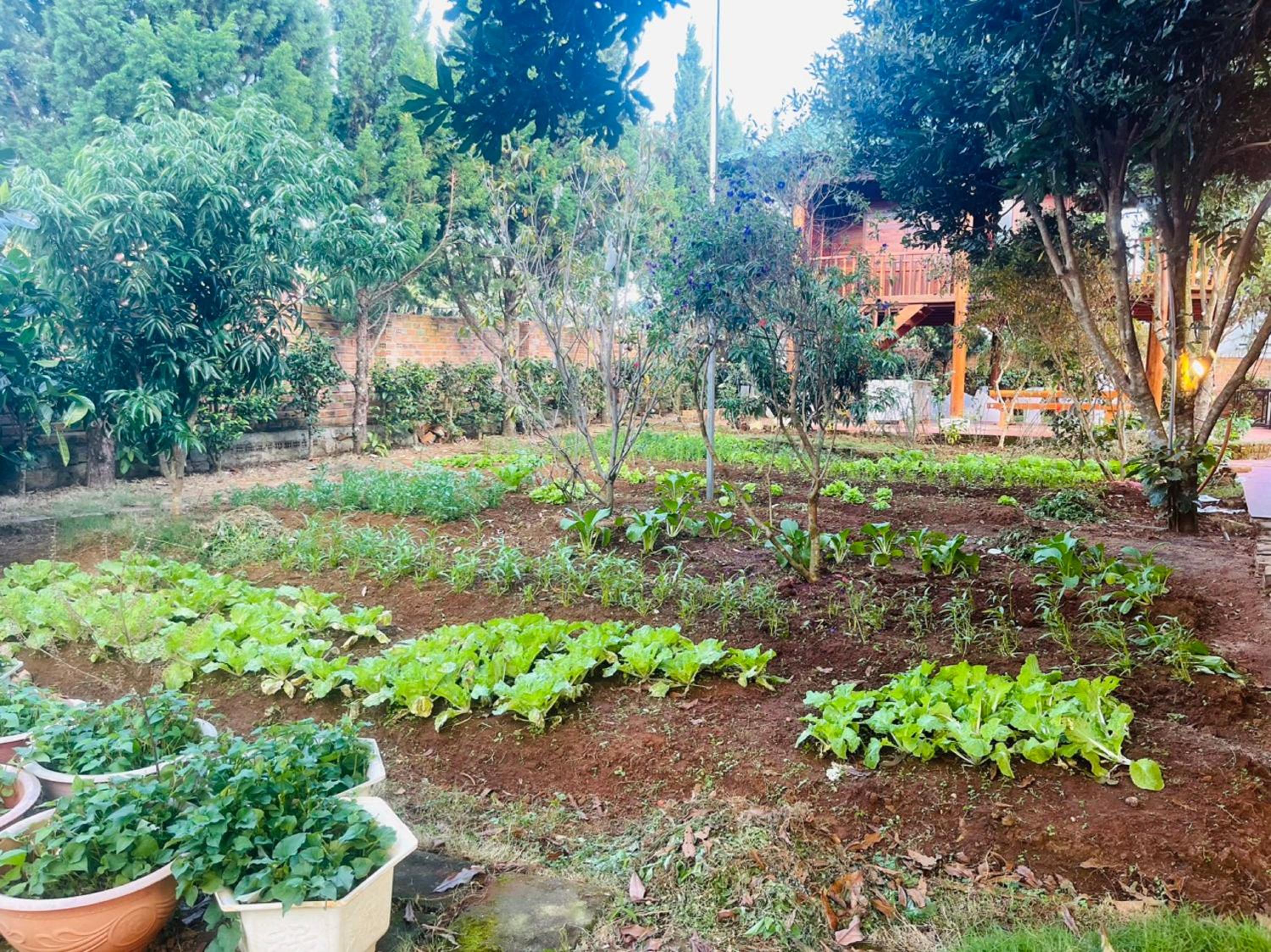 Mongo Garden Đà Lạt