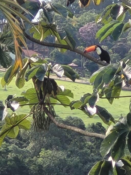 Paraiso em Piracaia - Belíssima Chácara