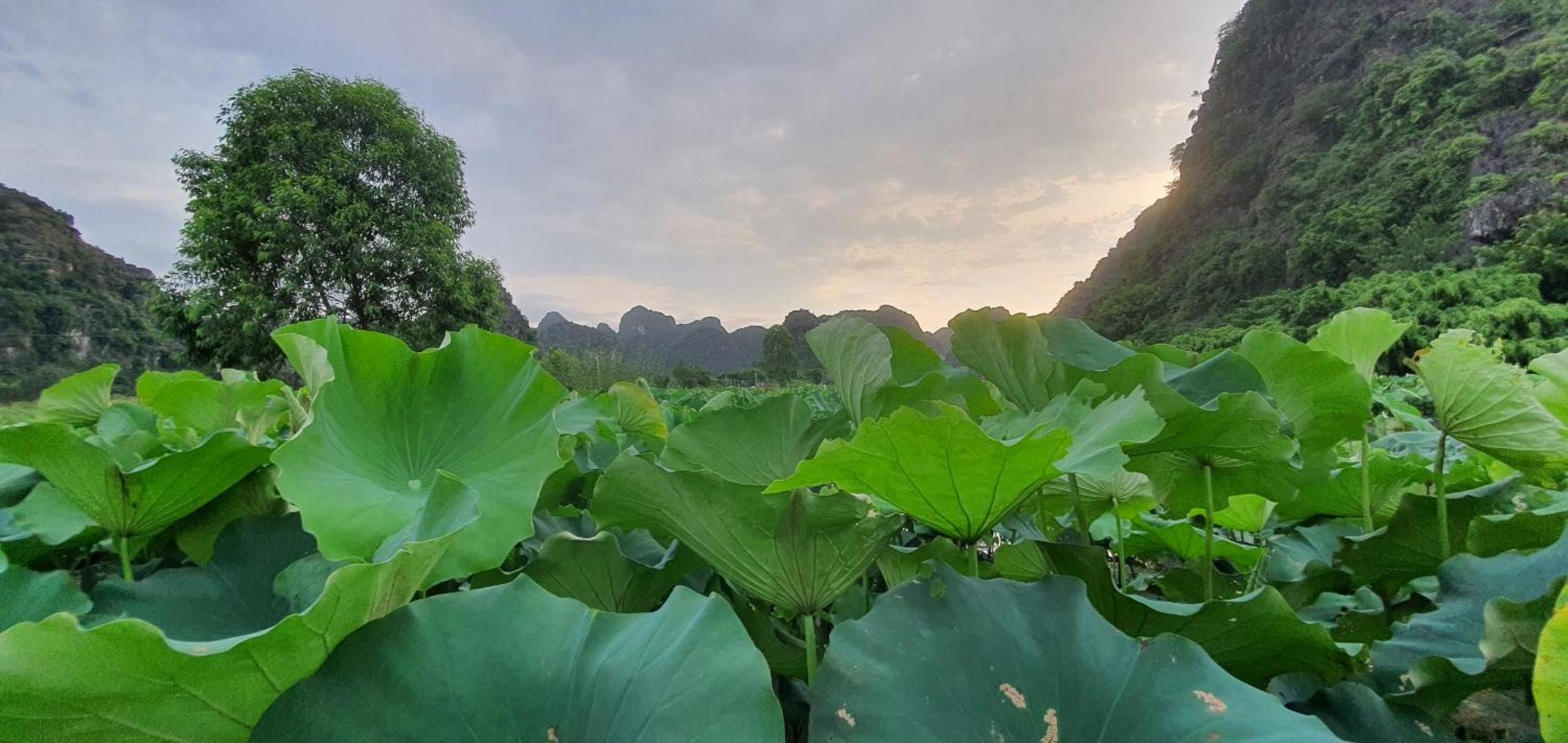 Nice homestay in Ninh Binh
