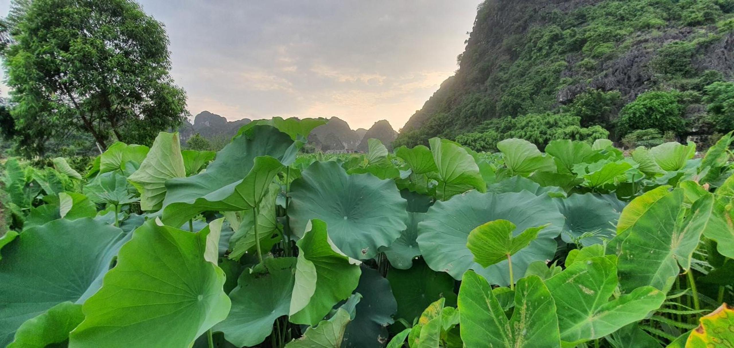 Nice homestay in Ninh Binh