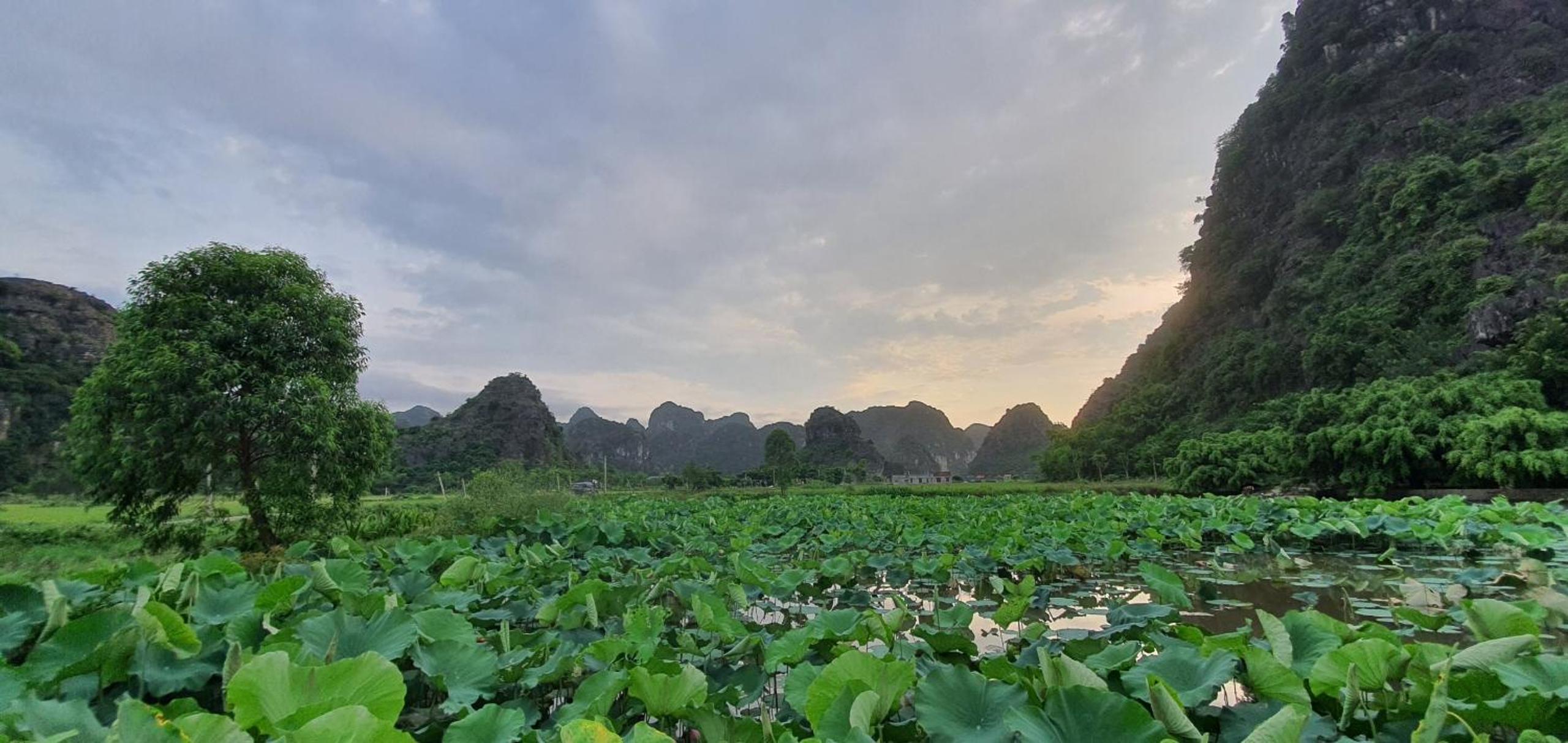Nice homestay in Ninh Binh