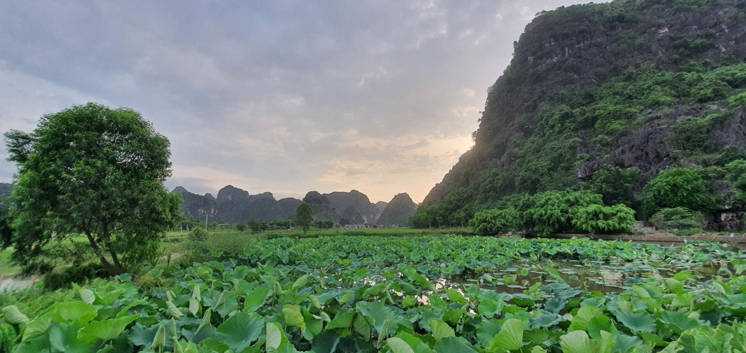 Nice homestay in Ninh Binh