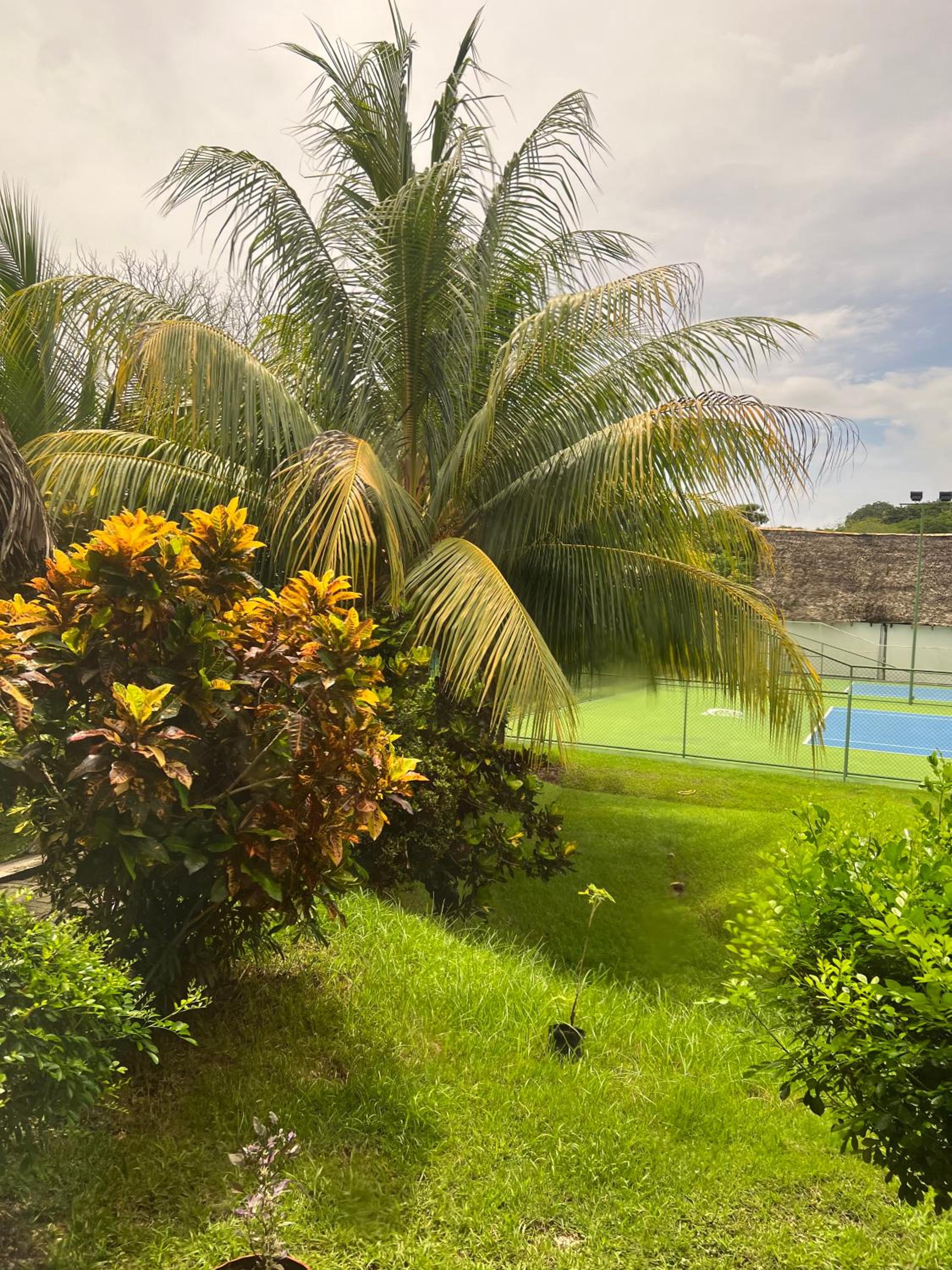 Hidden Paradise Tennis and Pickleball Getaway