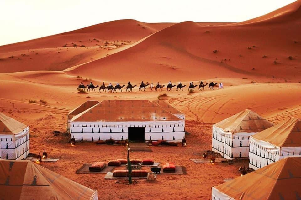 Luxury bivouac Desert life camp view 5