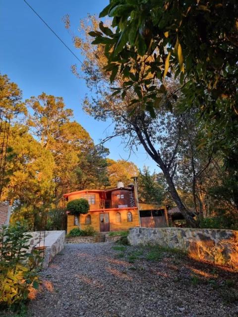 Linda Vista 5
