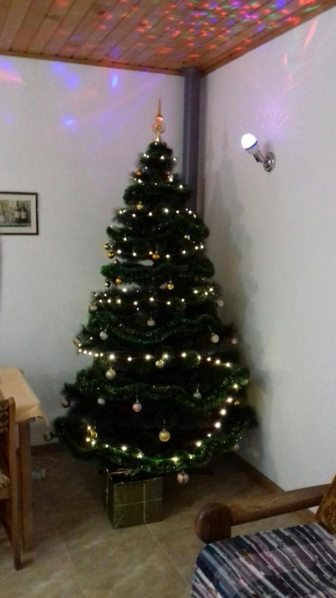 Photo 29