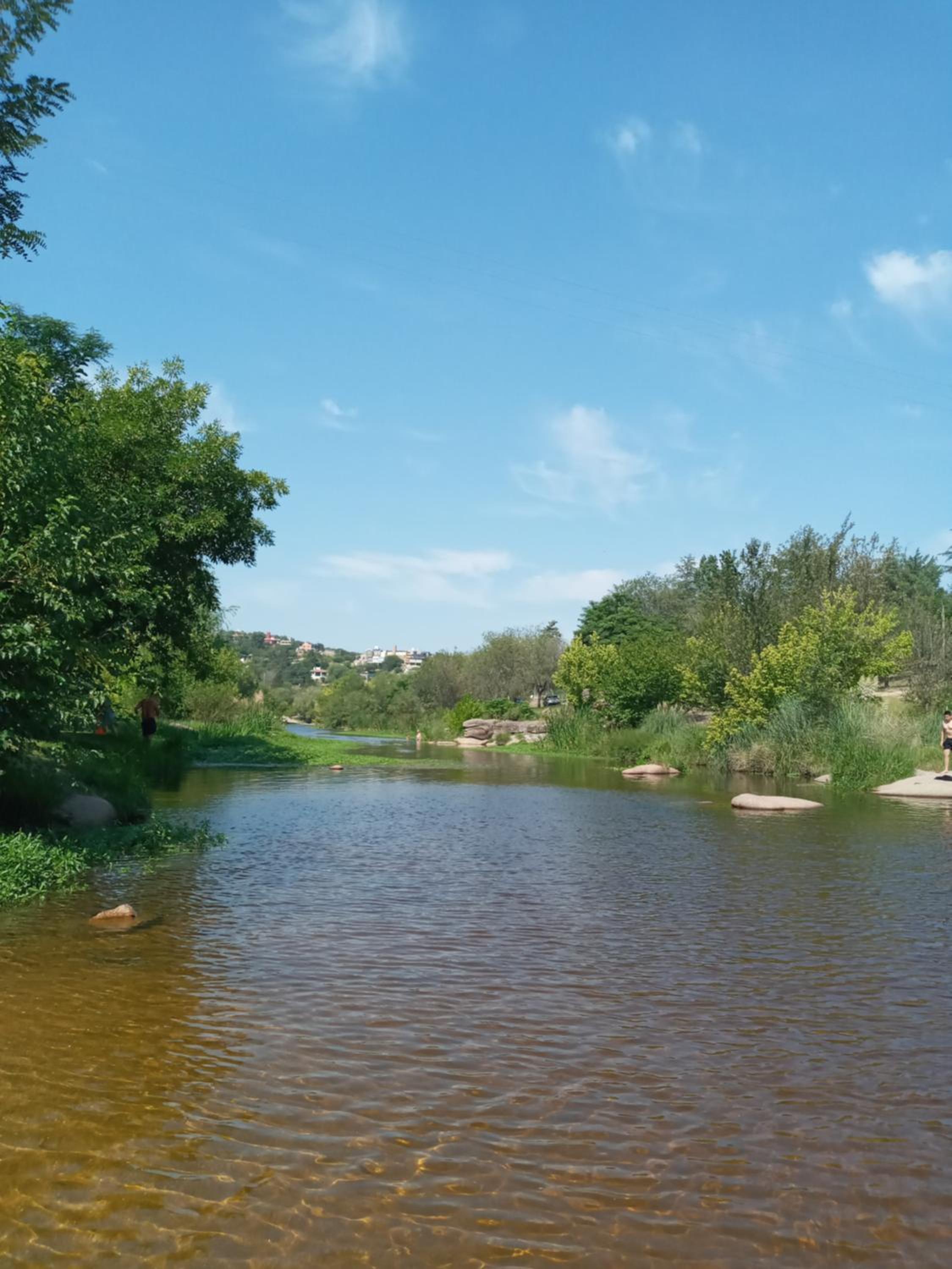 La Tacuarita