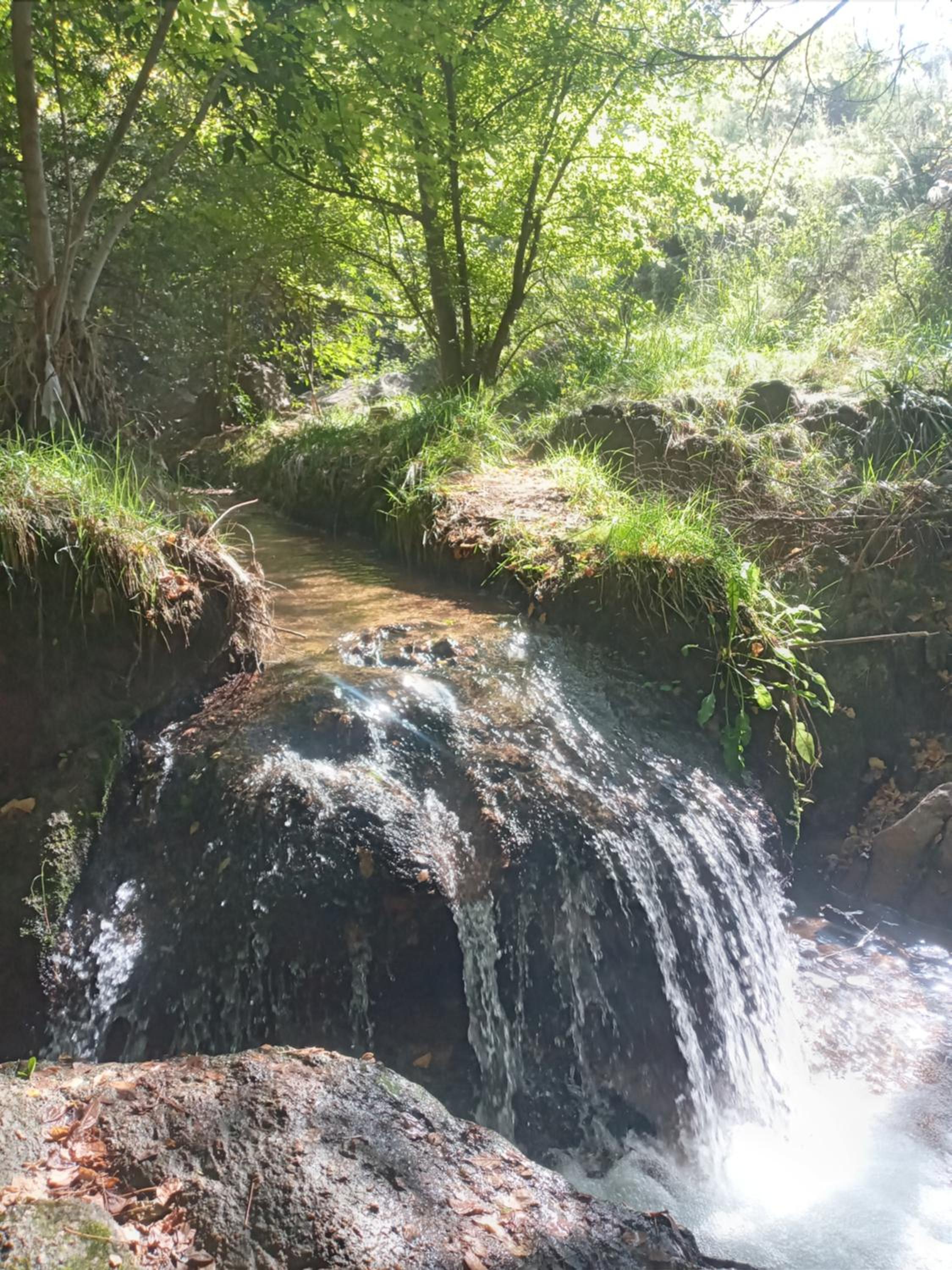 La Tacuarita