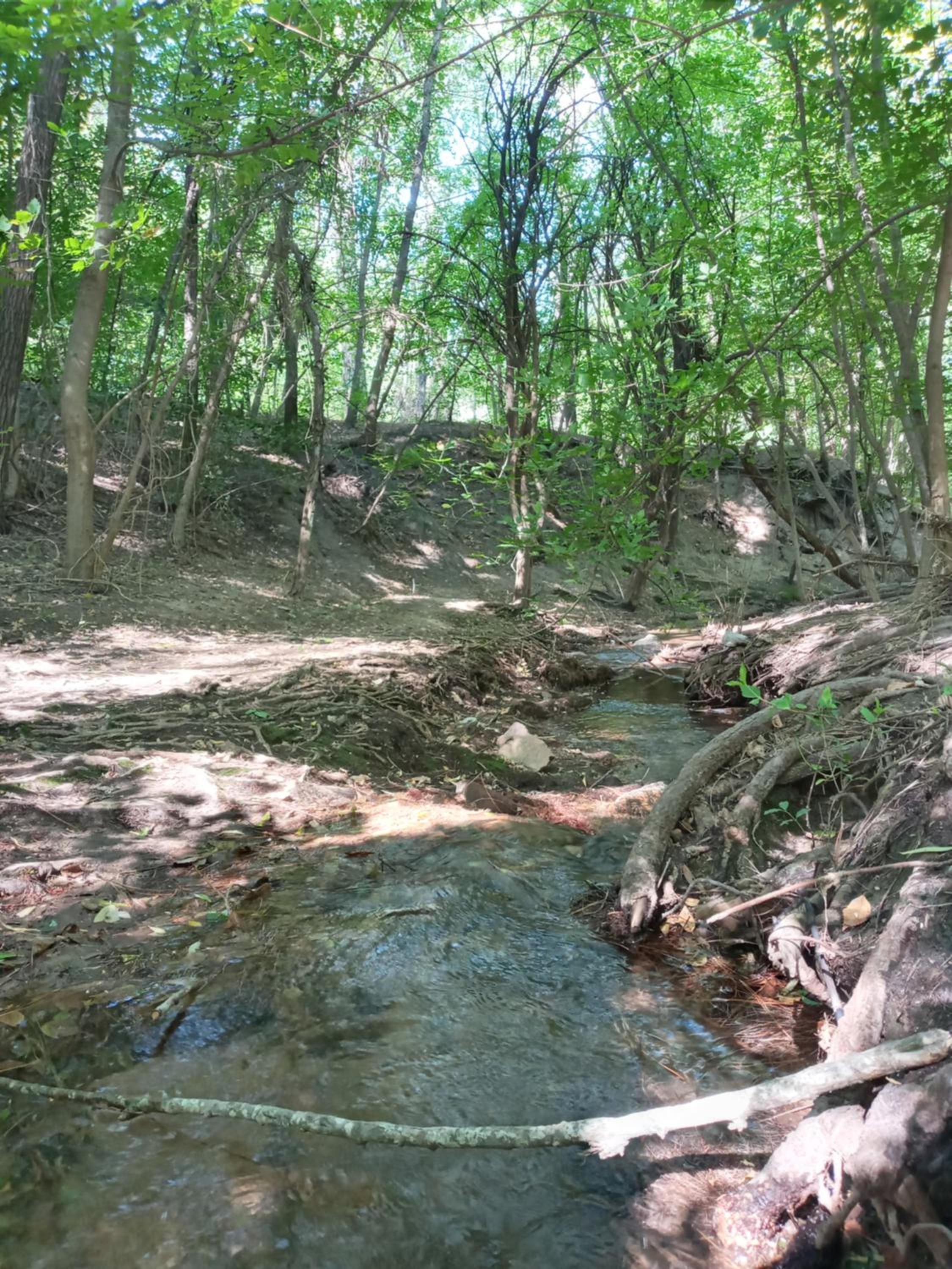 La Tacuarita