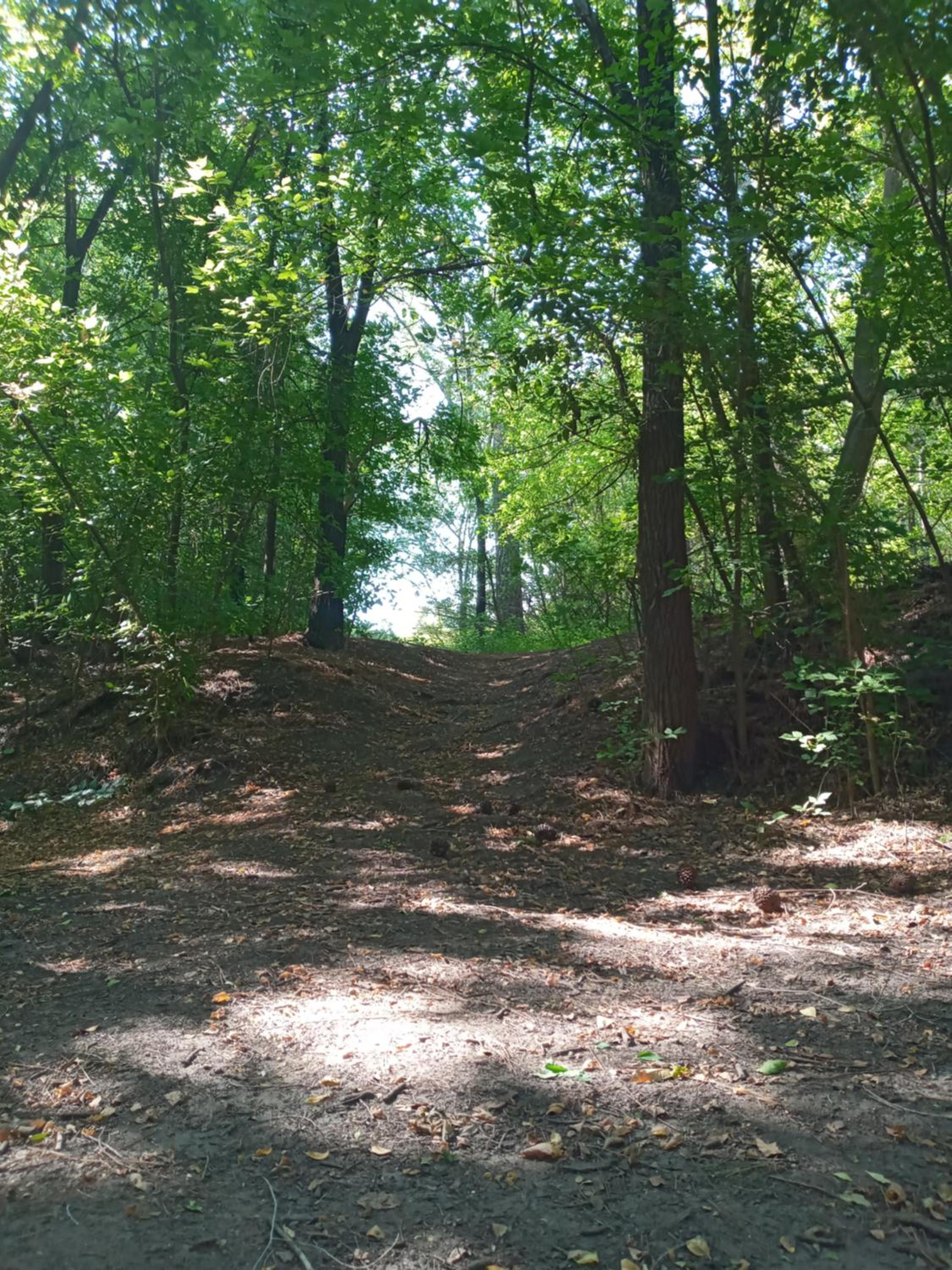 La Tacuarita